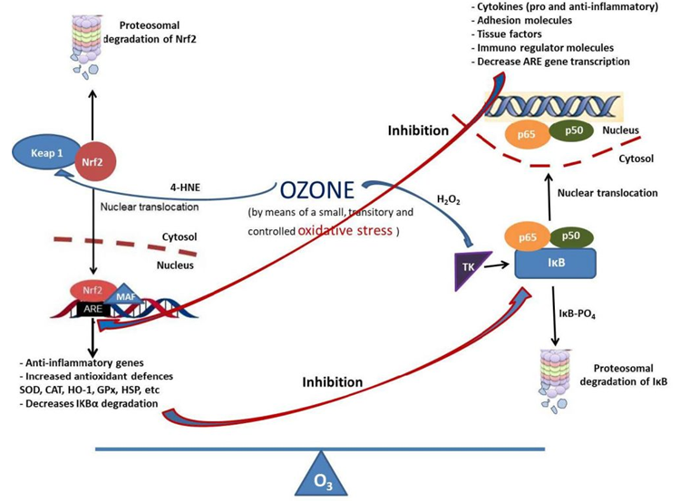 ¿Qué es la Ozonoterapia?