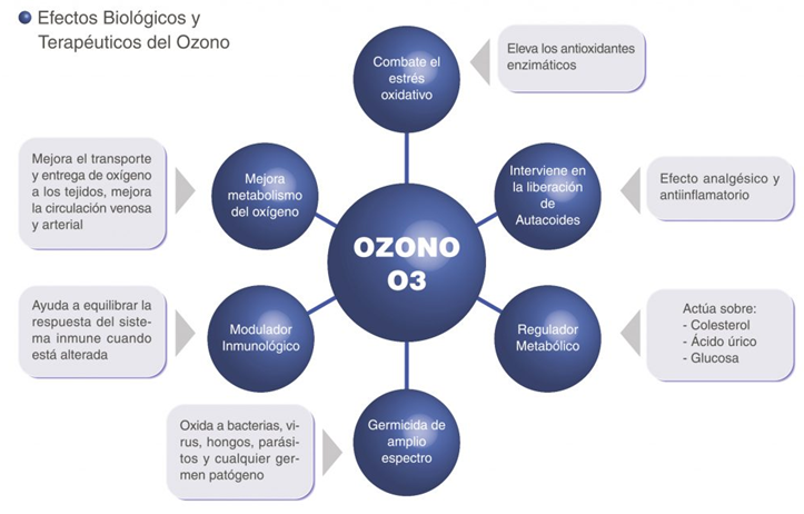 ¿Cómo actua?